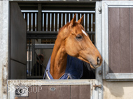 BP200326-78 - It's Hard To Know